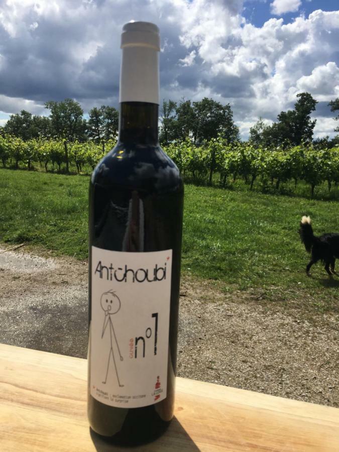 Chateau La Loge Villematier Kültér fotó